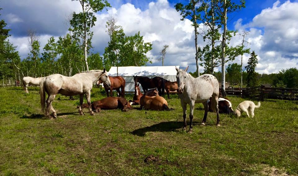 فندق Seventy Mile Houseفي  Flying U Ranch المظهر الخارجي الصورة