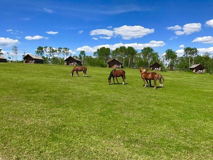 فندق Seventy Mile Houseفي  Flying U Ranch المظهر الخارجي الصورة